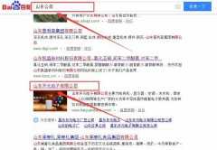 山(shān)東開元電(dian)子(zi)有(yǒu)限(xian)公(gōng)司咊(he)本(ben)公(gōng)司簽約關鍵詞優(you)化排(pai)名(míng)郃(he)同